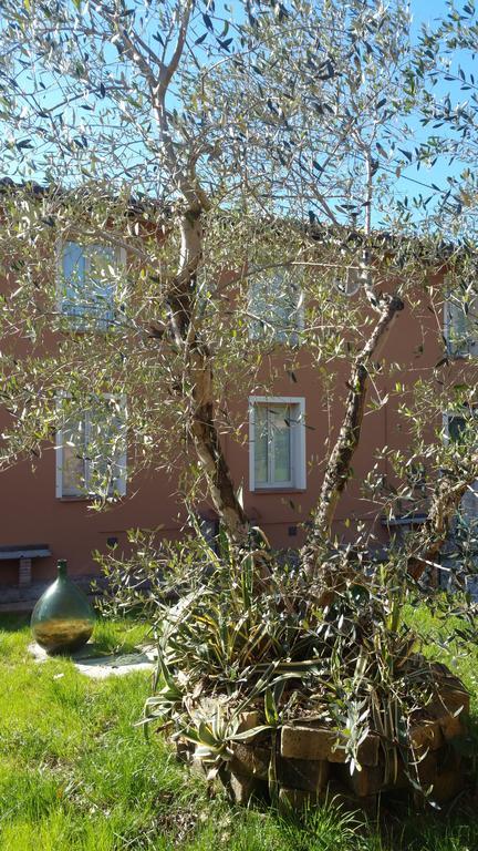 Villa Ulivo Della Querce Querce  Esterno foto