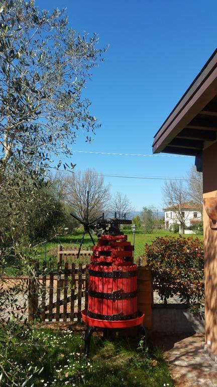 Villa Ulivo Della Querce Querce  Esterno foto