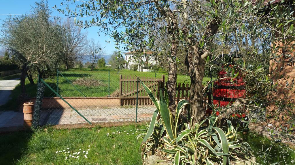 Villa Ulivo Della Querce Querce  Esterno foto